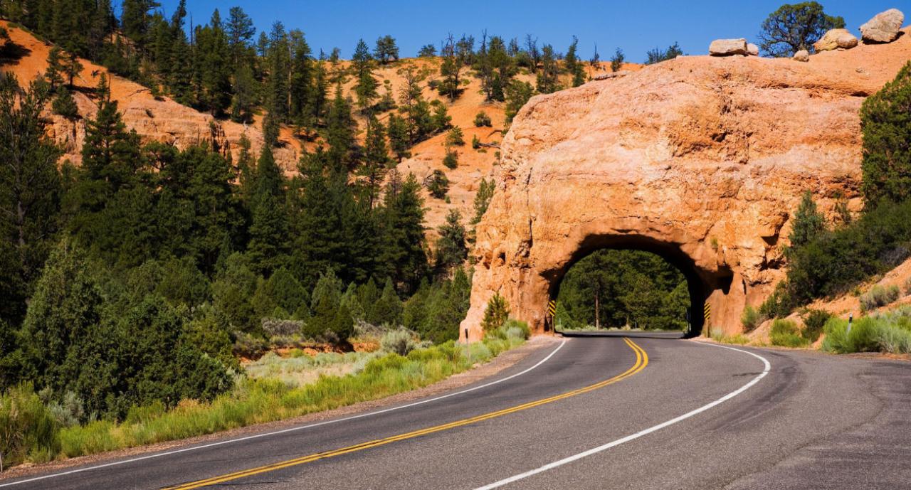 These 10 US States Are Best For A Summer Road Trip In 2023